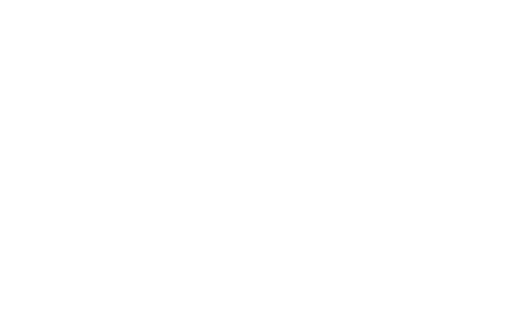 majeofishgroup