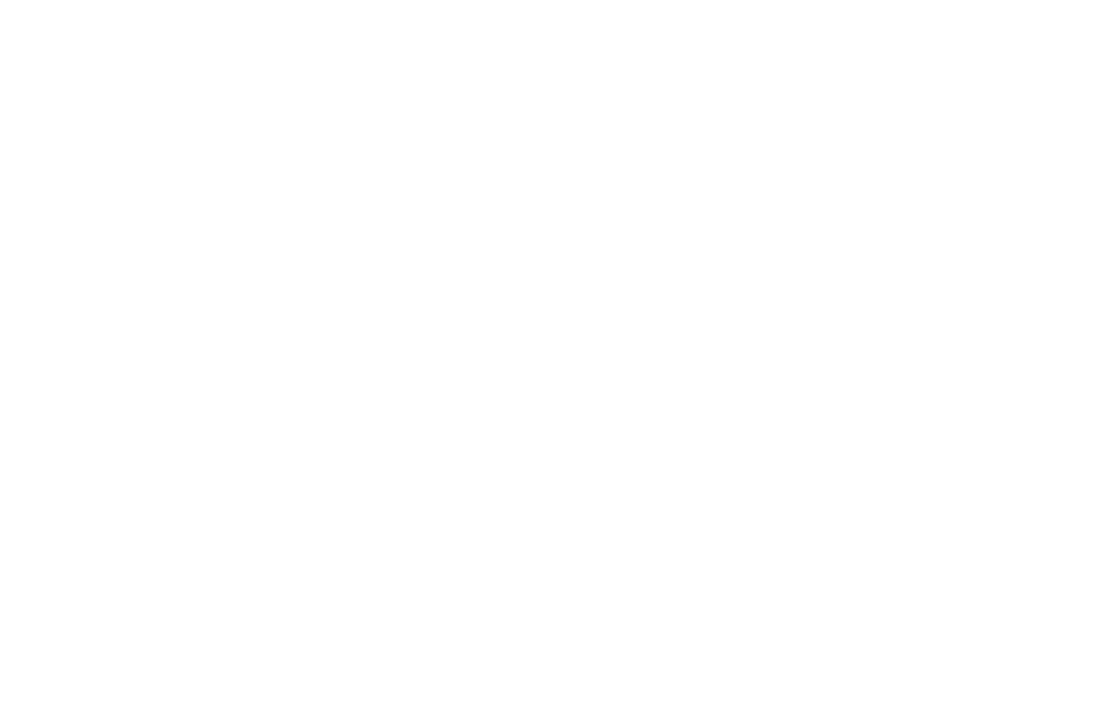 vogt