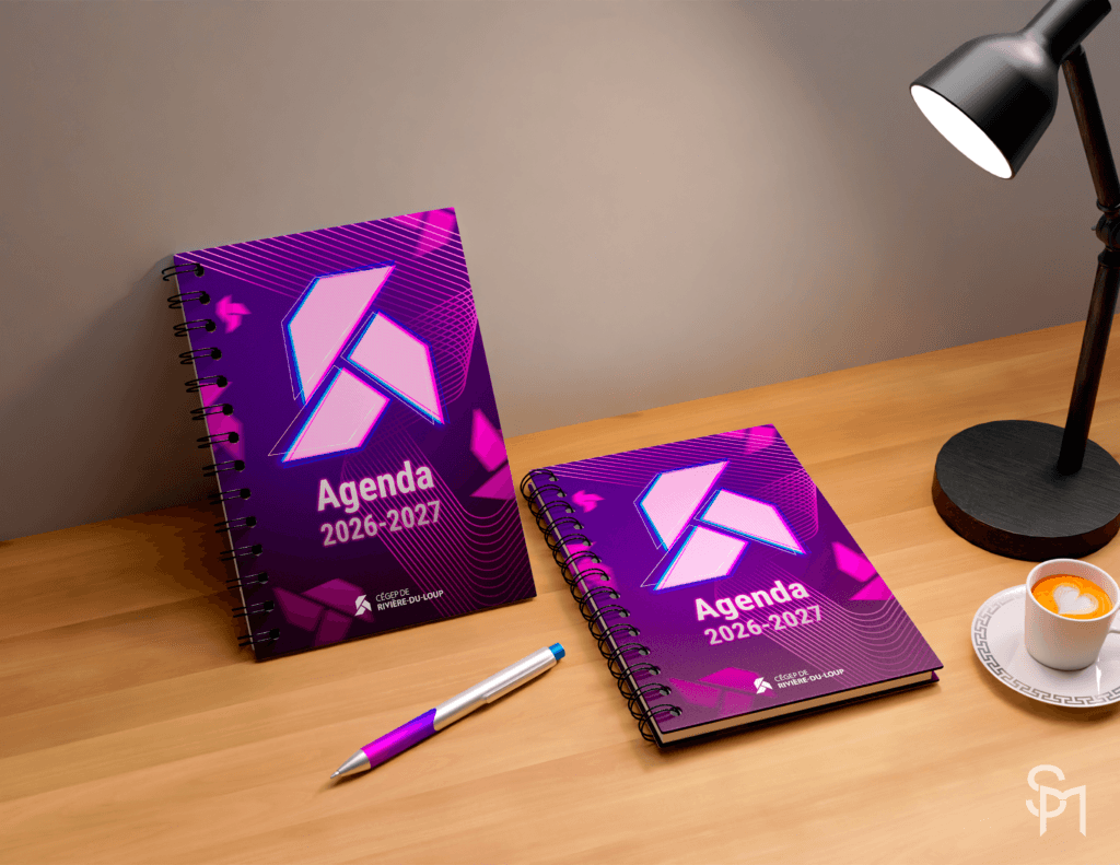 217 portfolio spm