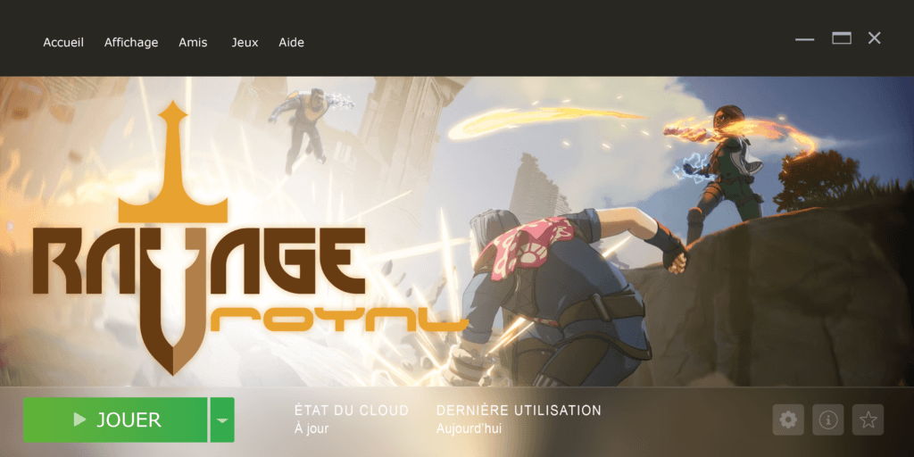 Identité visuelle d’un univers Battle Royale RPG - RAVAGE ROYAL maquette